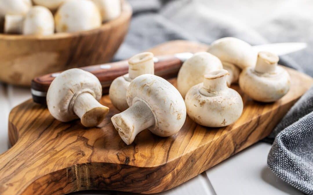 The Healthy Magic of Mushrooms